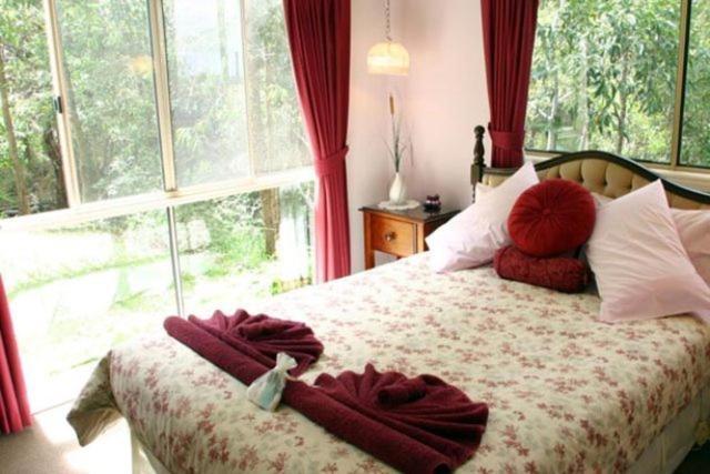 Bed and Breakfast Hillside Country Retreat Голд-Кост Номер фото